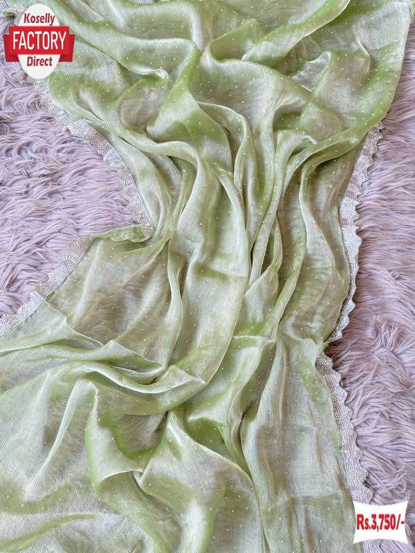 Light Green Jimmy Choo Zarkan Border Partywear Saree