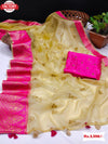 Pure Organza Embroidered Jacquard Saree