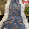 Ash Organza Fancy Saree With Chikankari Border