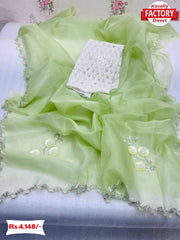 Light Green Pure Organza Handwork Saree