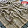 Beige Shimmer Chiffon Stone Work Partywear Saree