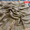 Beige Shimmer Chiffon Stone Work Partywear Saree