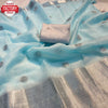 Sky Blue Kanchipuram Organza Sequins Work Saree
