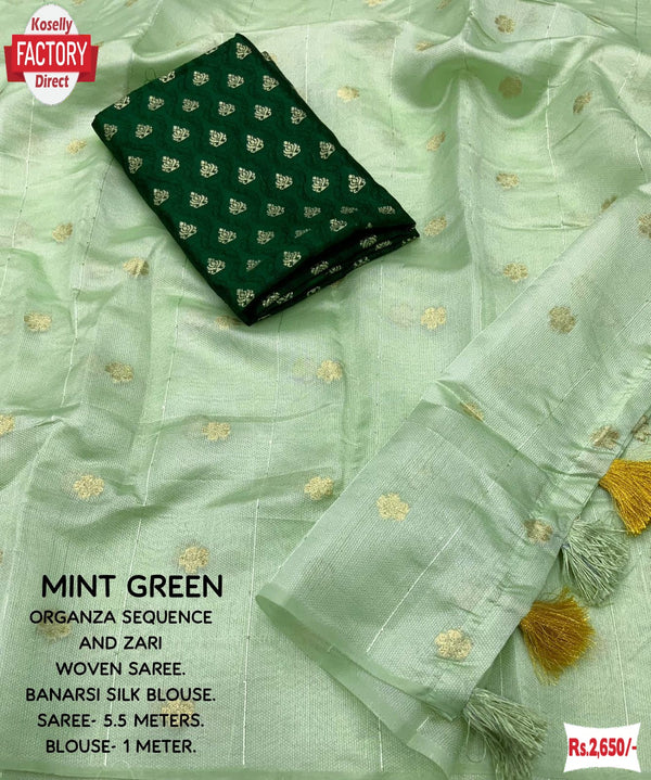 Mint Green Soft Organza Sequins And Zari Worked Saree