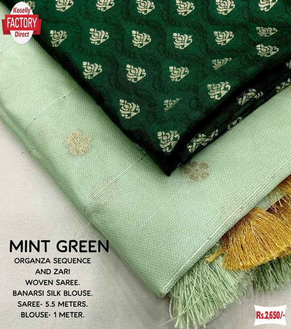 Mint Green Soft Organza Sequins And Zari Worked Saree