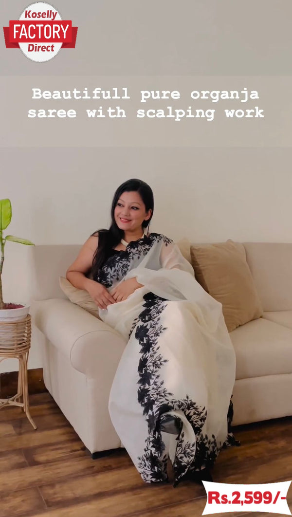 White Pure Tabby Organza Saree With Scalping Work