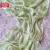 Light Green Jimmy Choo Zarkan Border Partywear Saree