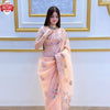 Peach Organza Multi-sequins And Threadwork Partywear Saree