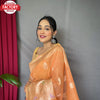 Orange Pure Linen Banarasi Saree