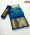 Blue Shibori Dyed Pure Organza Banarasi Border Saree