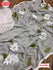 Ash Chiffon Silk Handprinted Saree