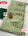 Pistachio Green Soft Organza Handwork Saree