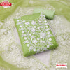 Light Green Organza Embroidered Kurtha Suruwal Piece