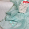 Sky Blue Pure Organza Handwork Saree