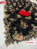 Black Organza Designer Saree