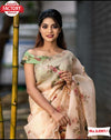 Cream Pure Organza Saree With Handwork