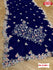 Navy Blue Georgette Embroidered Partywear Saree