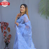 Light Blue Pure Organza Silk Cut-work Border Saree