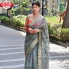 Ash Organza Silk Paithani Saree