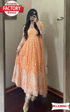 Light Peach  Embroidered Gown Dupatta Pant Set