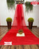 Red Georgette Pleated Saree