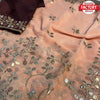 Peach Shimmer Chiffon Saree With Embroidery