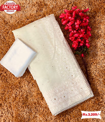 White Chikankari Work Organza Saree