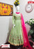 Pista Green Embroidered Gown with Dupatta
