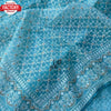 Sky Blue Organza Chikankari Work Saree