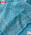 Sky Blue Organza Chikankari Work Saree