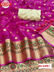 Pure Nylon Organza Banarasi Saree