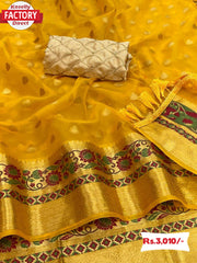 Pure Nylon Organza Banarasi Saree